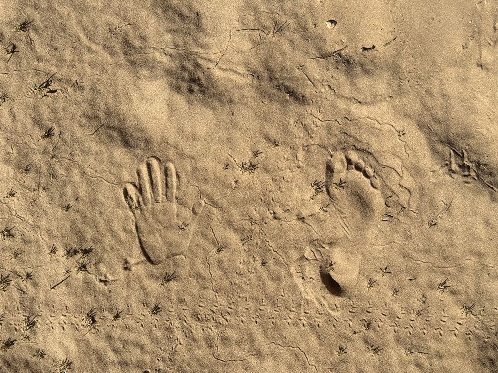 Photograph by Evgenia Barinova