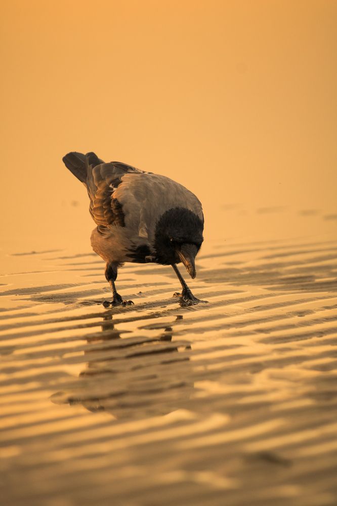 Photograph by Ангелина Высочина