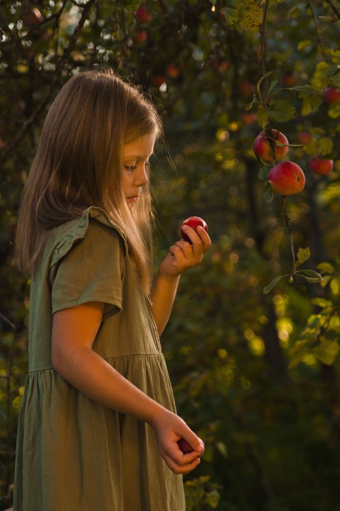 Яблочные истории