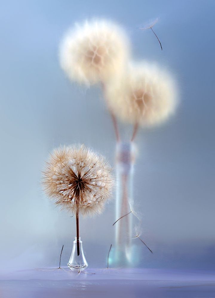 Photograph by Заболотская Ольга