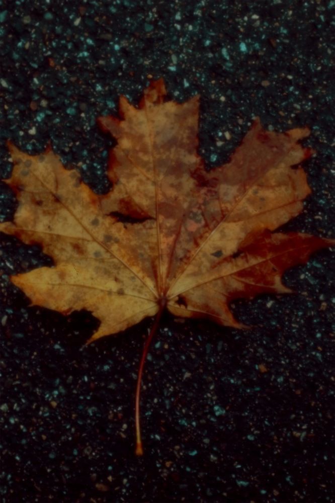 Фотография автора Сергей Савин