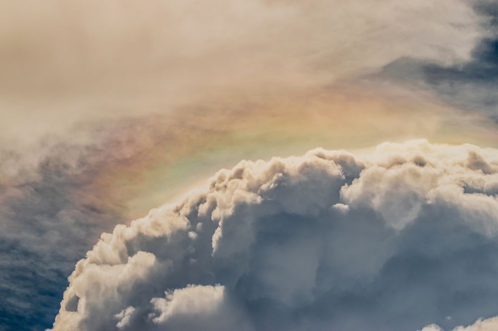 Photograph by Sandra Alvarez