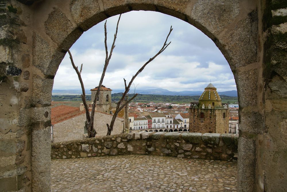 Photograph by Дария Максимова