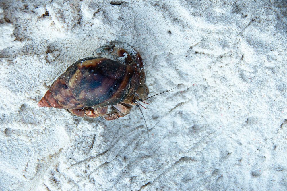 Photograph by Елизавета Корнилова
