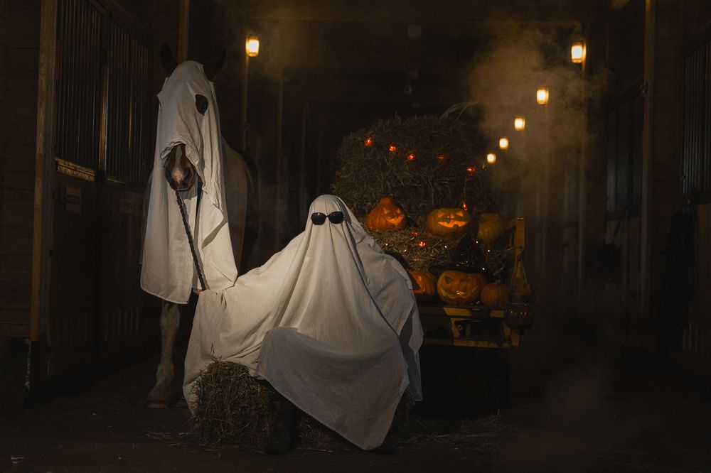 Photograph by Светлана Степашина