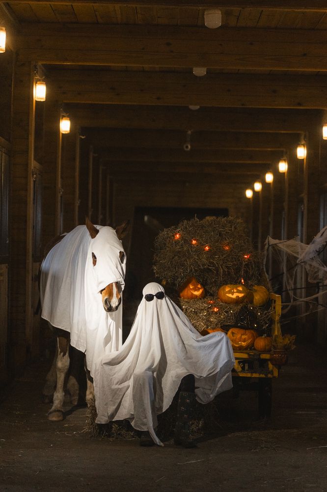 Photograph by Светлана Степашина