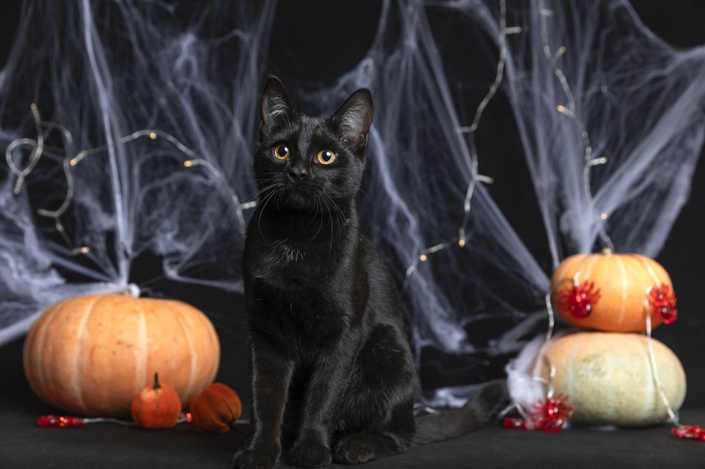 Photograph by Светлана Степашина