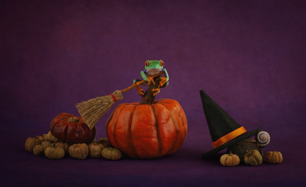 Photograph by Angi Wallace