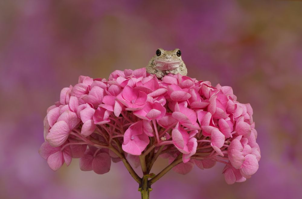 Photograph by Angi Wallace