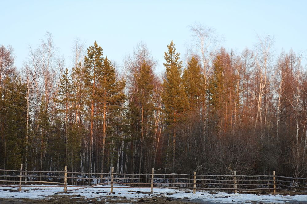 Photograph by Марина Ноговицына