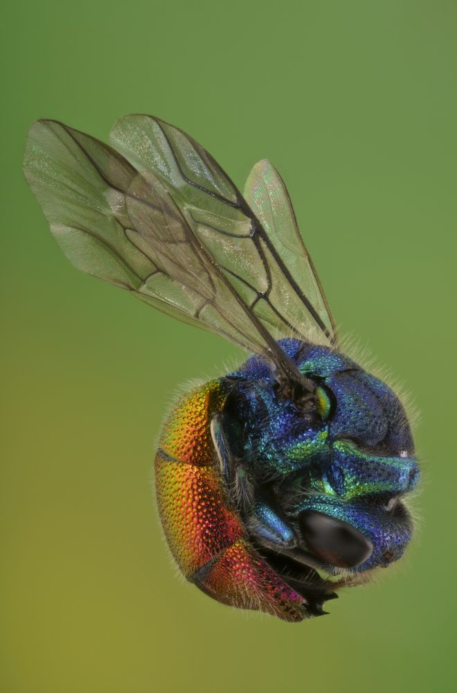 Photograph by Angi Wallace