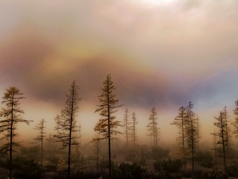 Photograph by Алексей Егоров