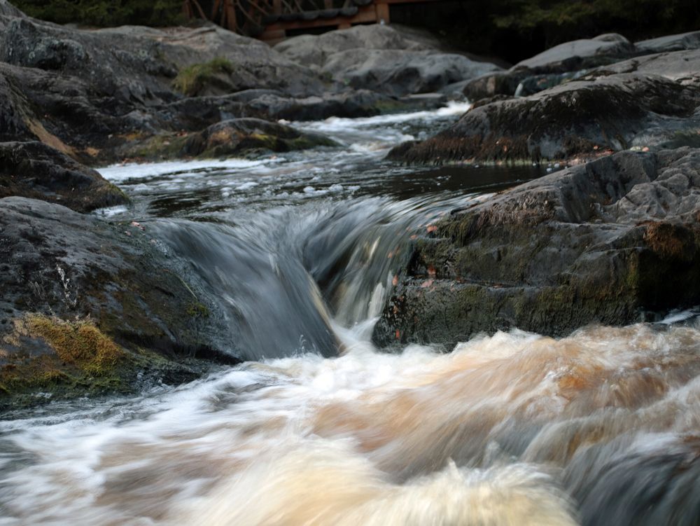 Photograph by Анурова Аля