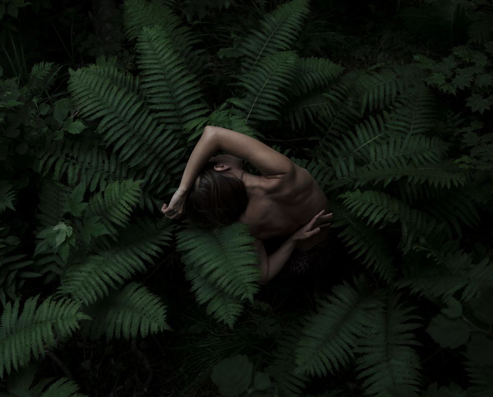 Фотография автора Надежда Порываева