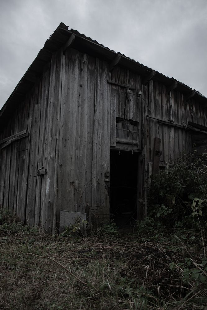 Photograph by Владислав Капанов