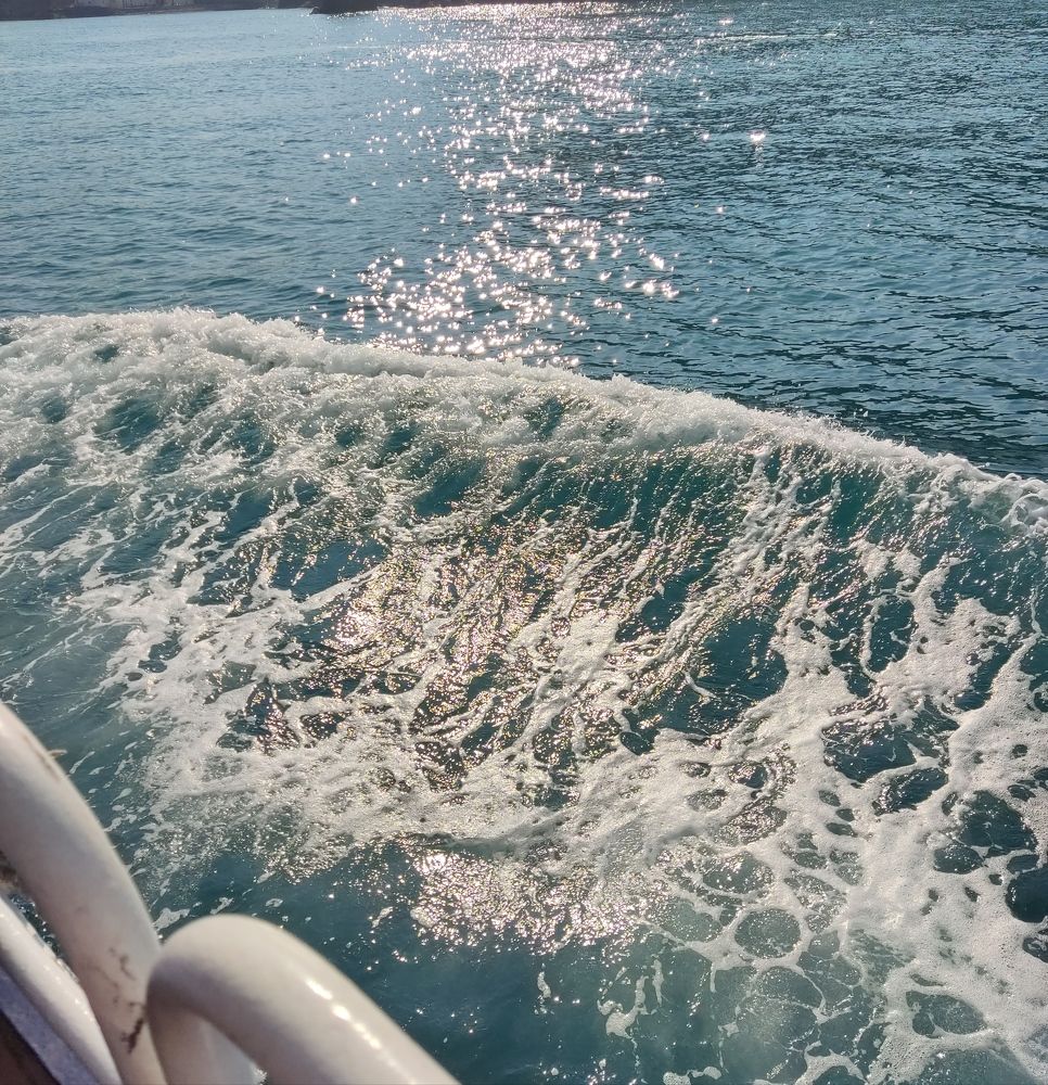 Photograph by Елизавета Зыкова