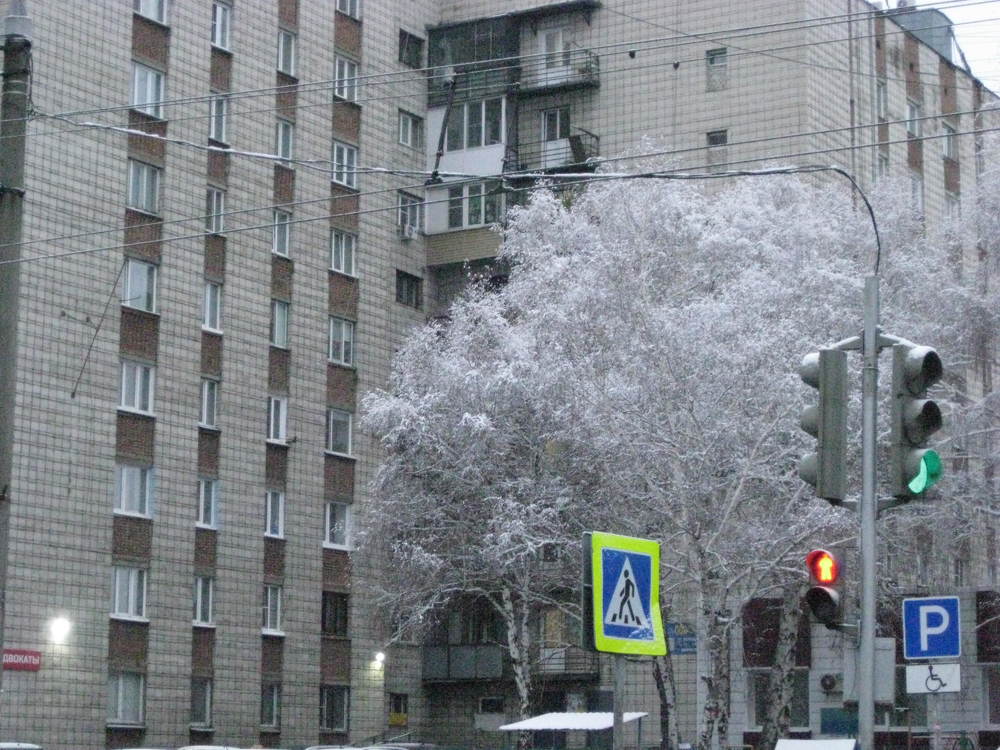 Photo #11278425