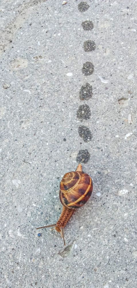 Photograph by Савчук Сергей