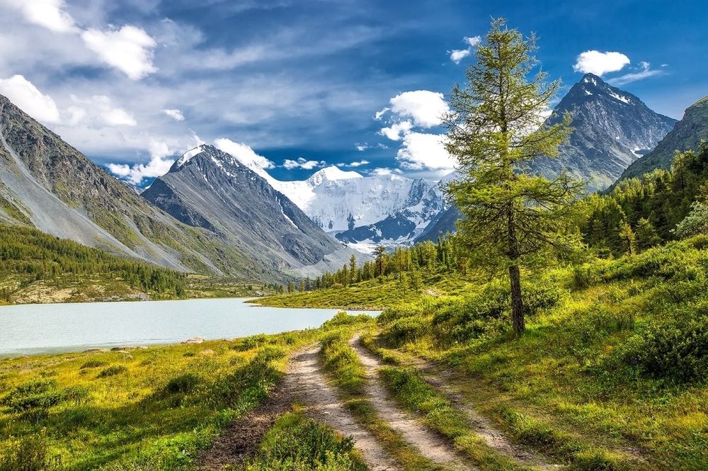 Фотография автора Pavel Ant