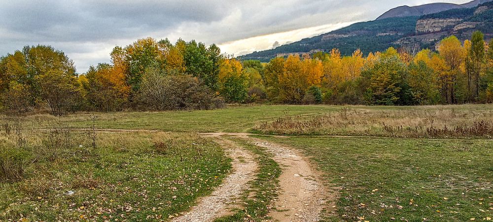 Photograph by Савчук Сергей