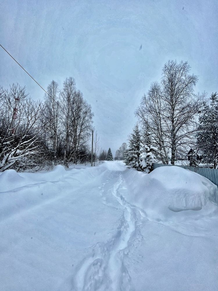 Photograph by Ирина Селиверстова