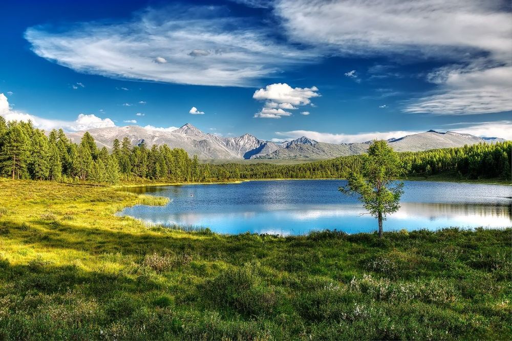 Фотография автора Pavel Ant