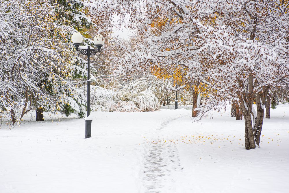 Photograph by Михаил Соколов