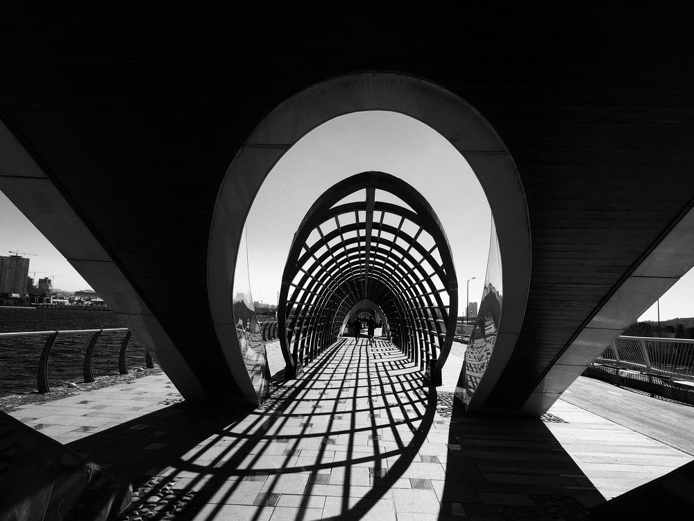 Photograph by Abdolreza Aleagha