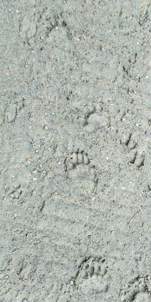 Photograph by Савчук Сергей