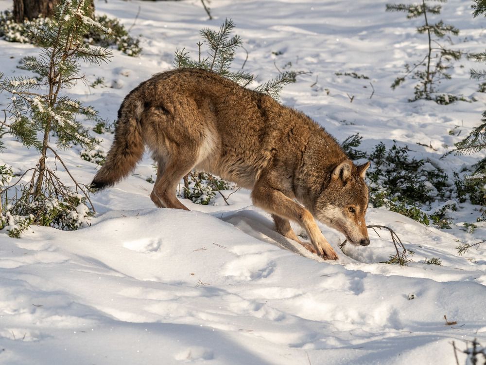Photograph by Савчук Сергей