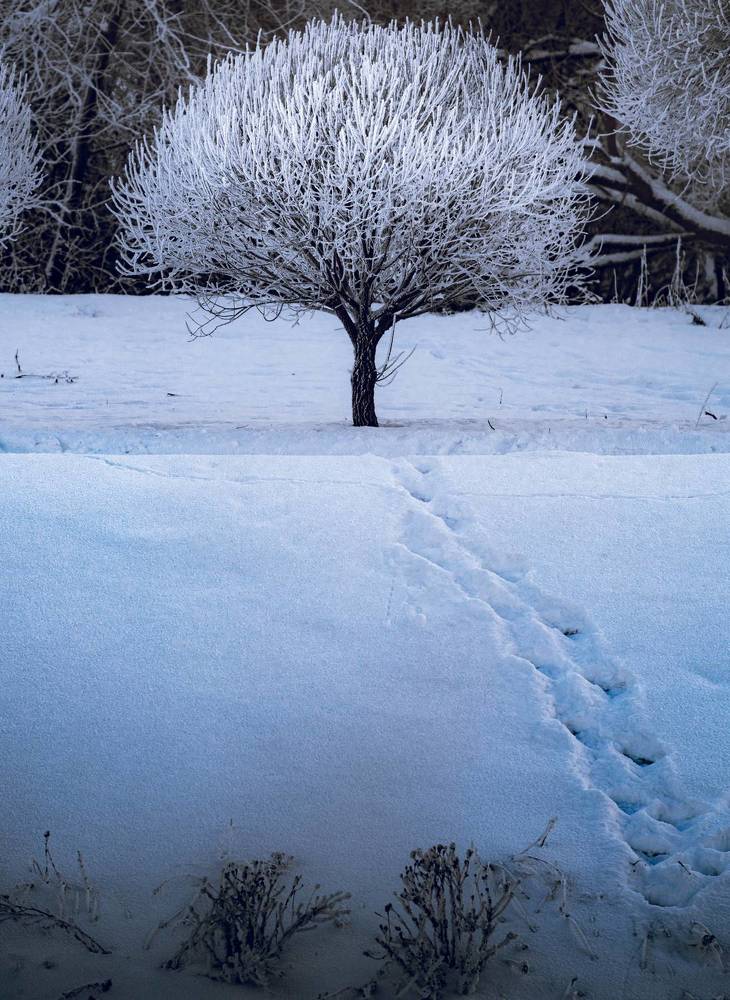 Photograph by Сергей Вальков