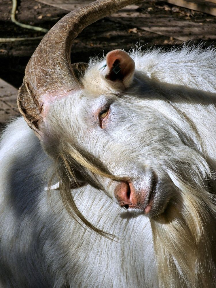 Photograph by Natali AB