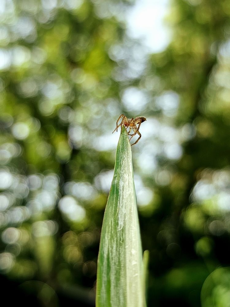 Photograph by Amin Ullah Nayem
