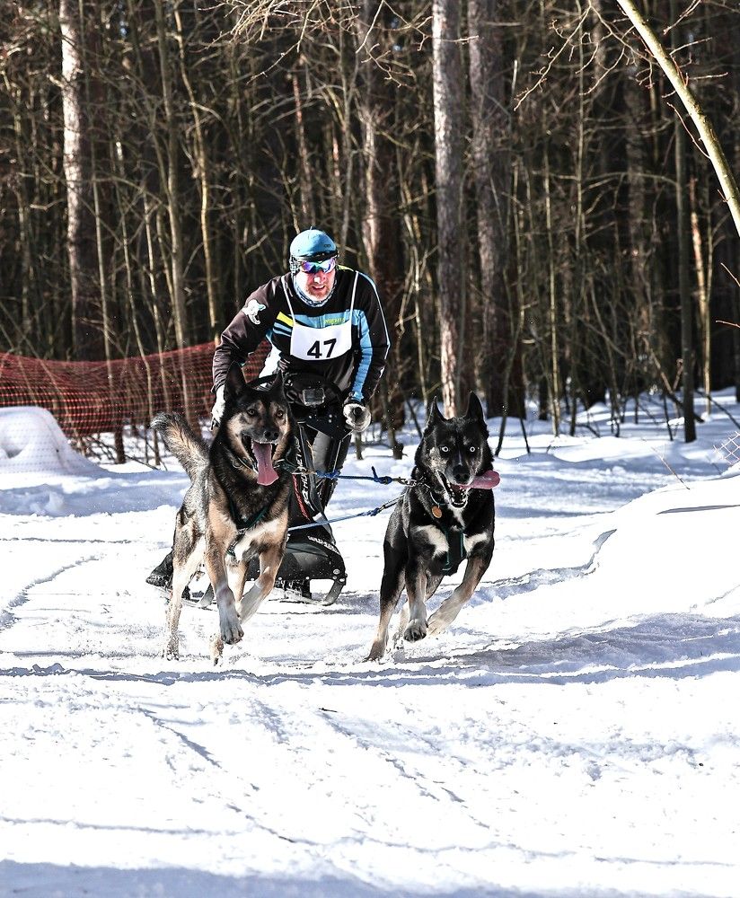 Photograph by Елена Одынец