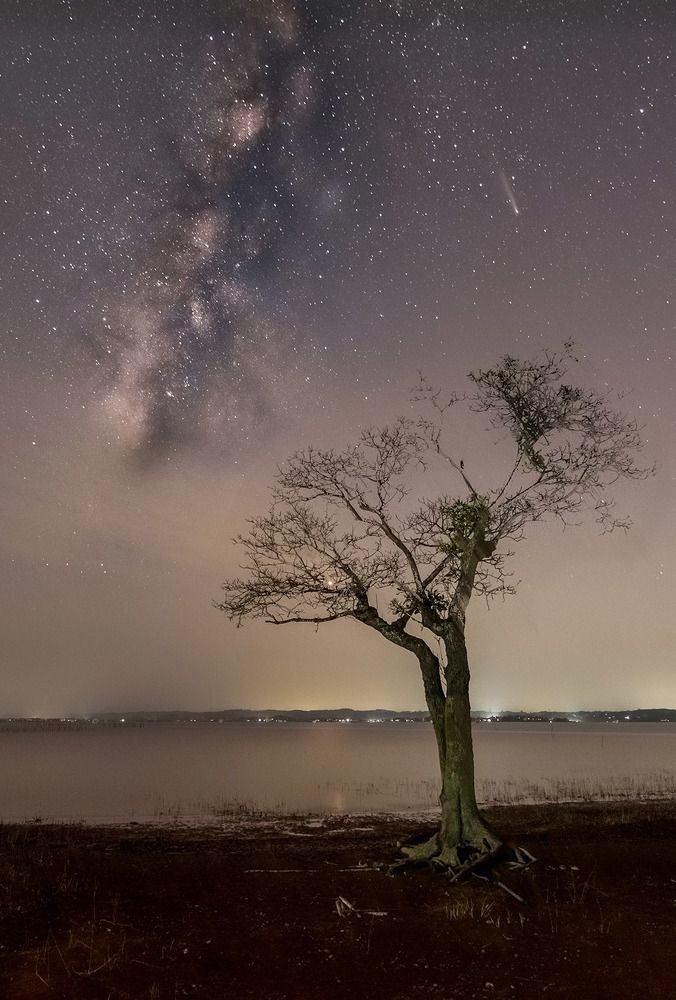 Photograph by SIMSON DAS