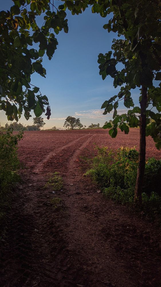 Photograph by Vijayakumar