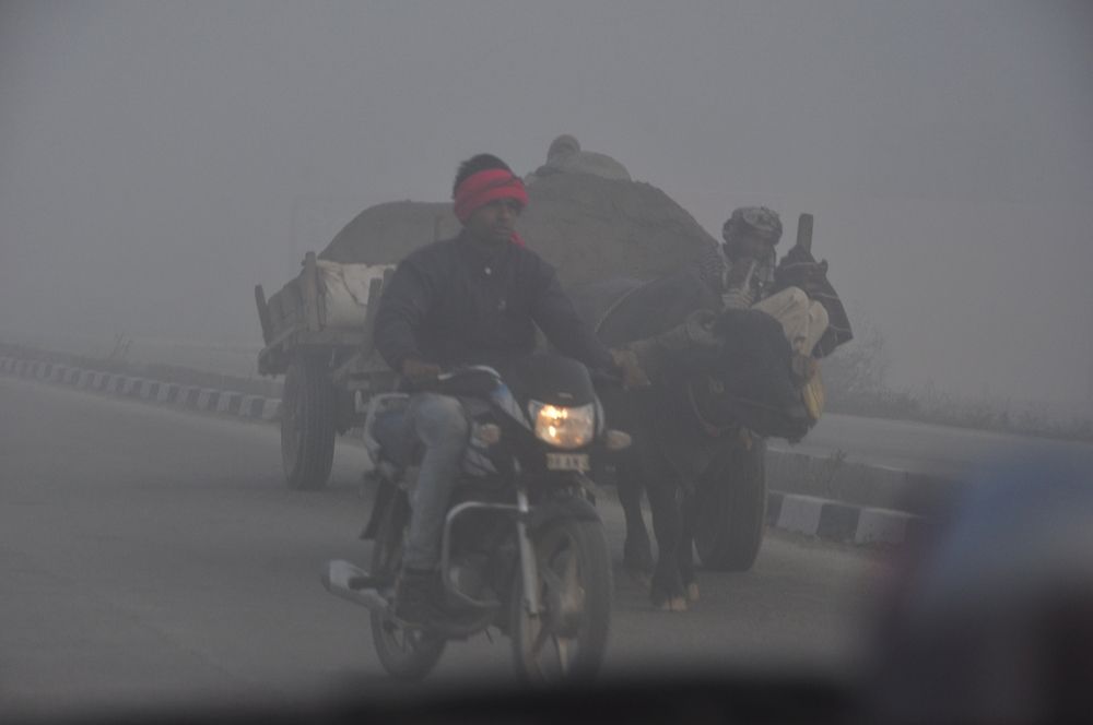 Photograph by SANDEEP KUMAR SHARMA