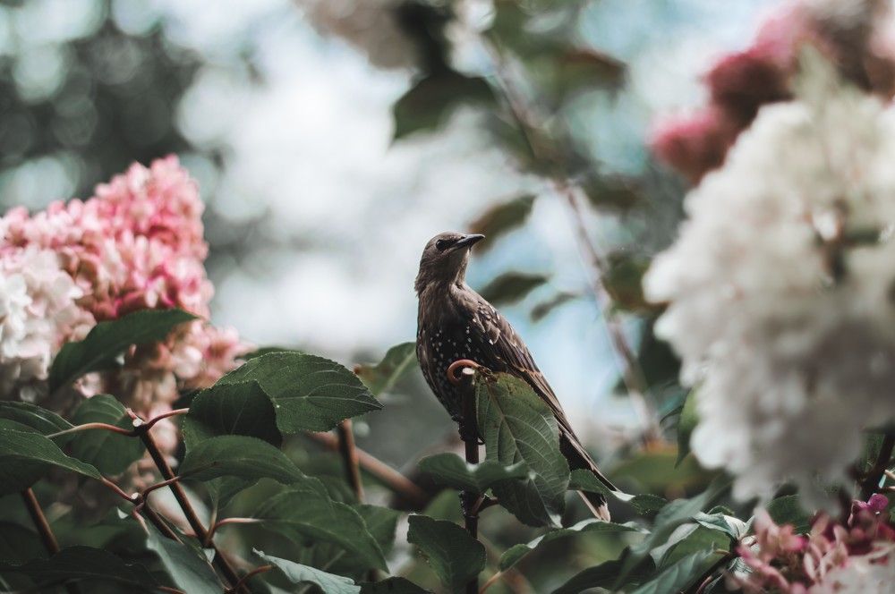 Photograph by Екатерина