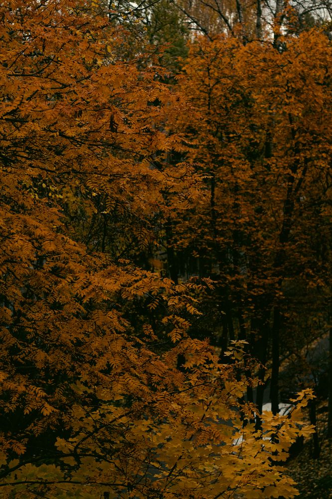 Photograph by Ирина Шилова