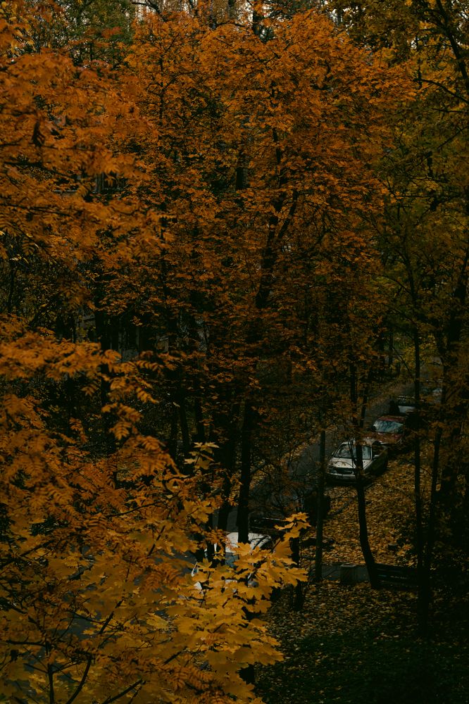 Photograph by Ирина Шилова