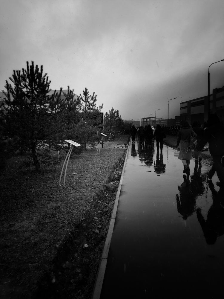 Photograph by Наталья