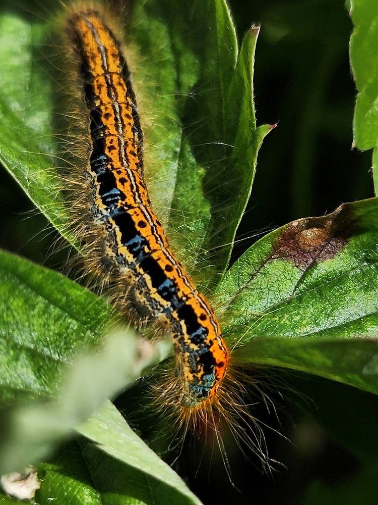 Photograph by Ольга Воронцова