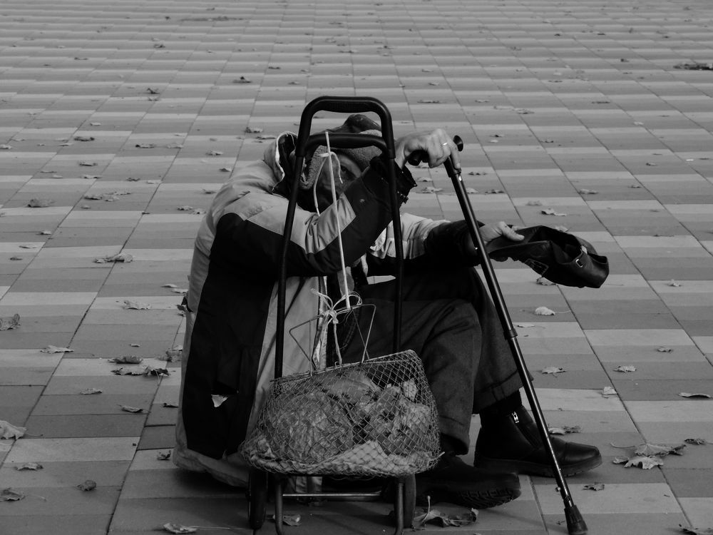Photograph by Alexandr Alexandr