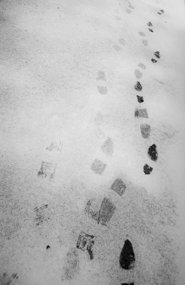 Photograph by Владимир Зубов