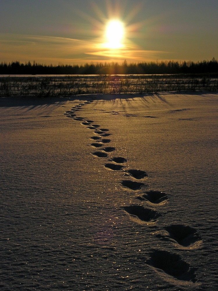 Photograph by Юрий Яковлев