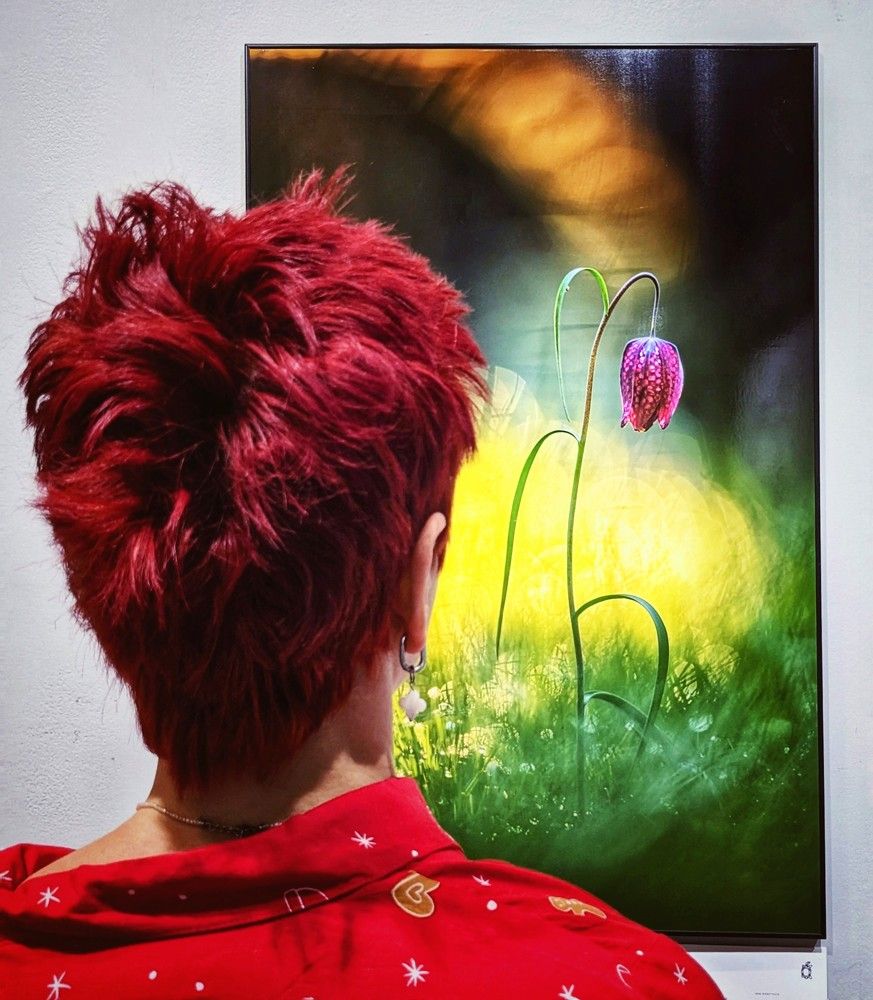 Photograph by Алексей Худяков