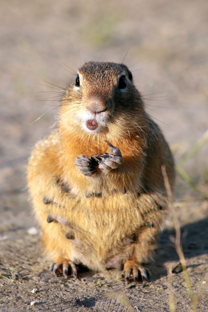 Photograph by Анурова Аля