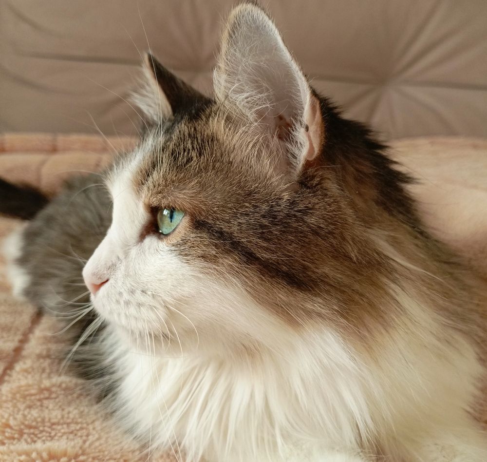 Photograph by Екатерина Скоропадова