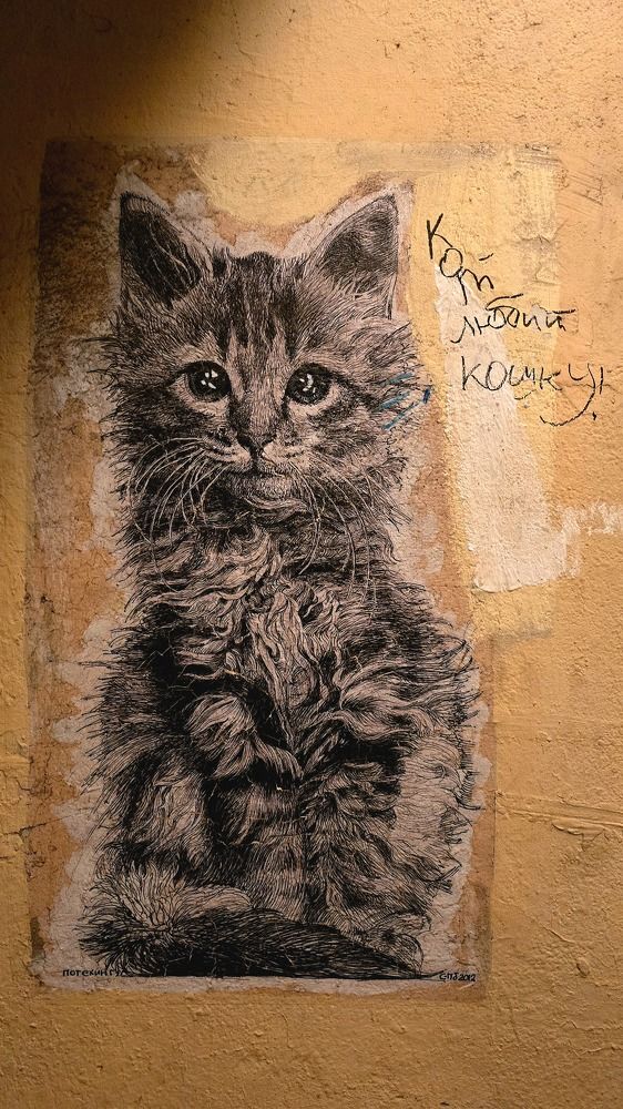 Photograph by Анна Семенова