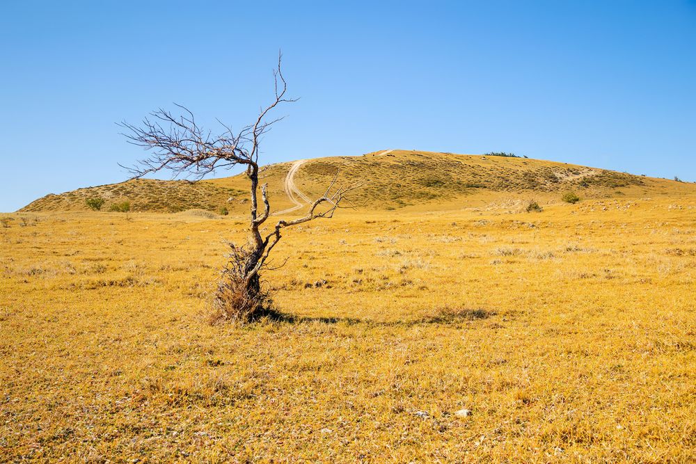 Photograph by Андрей Шрайнер